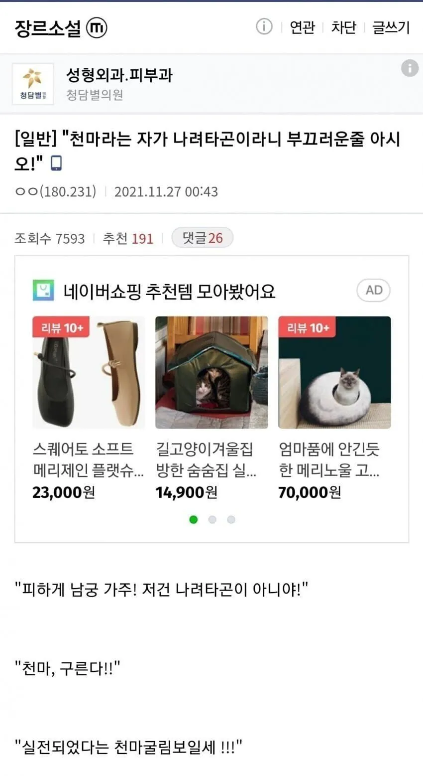 DC Inside 이미지 10