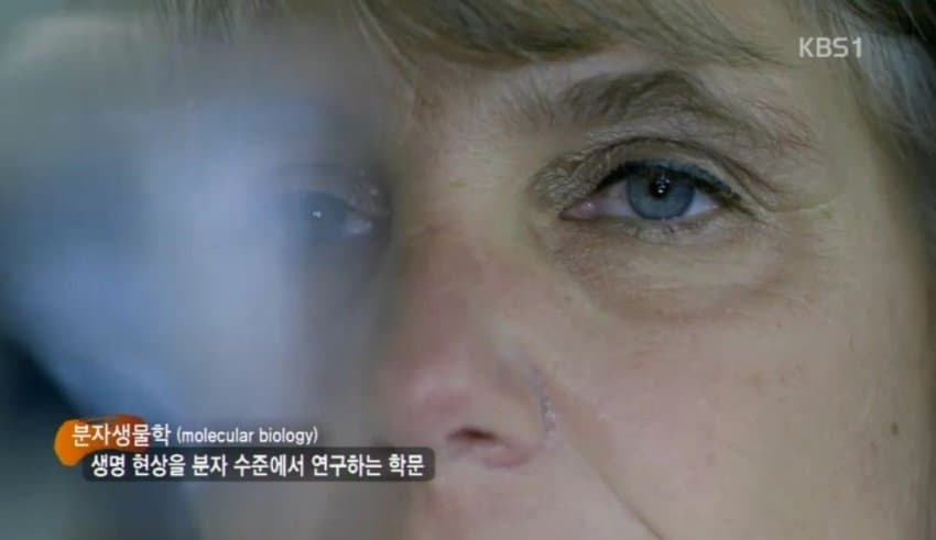 DC Inside 이미지 18