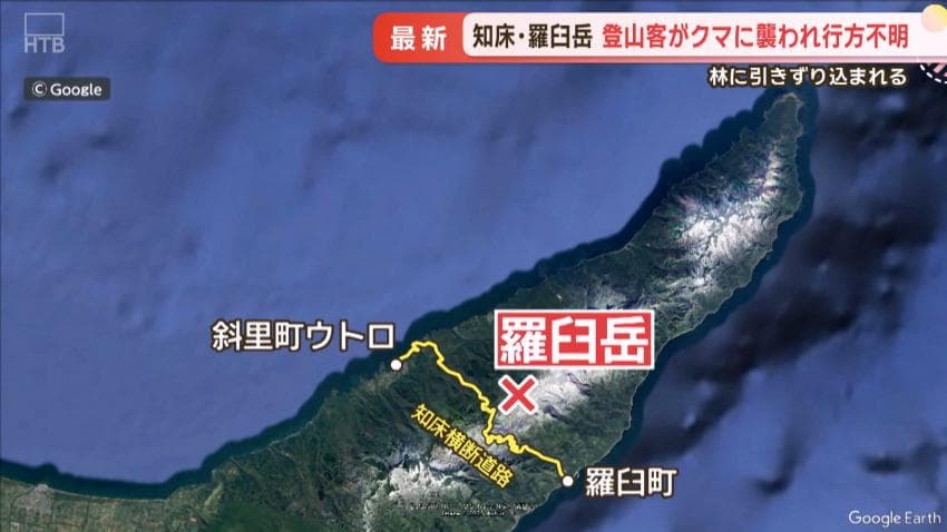 DC Inside 이미지 8