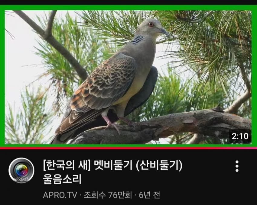 DC Inside 이미지 13