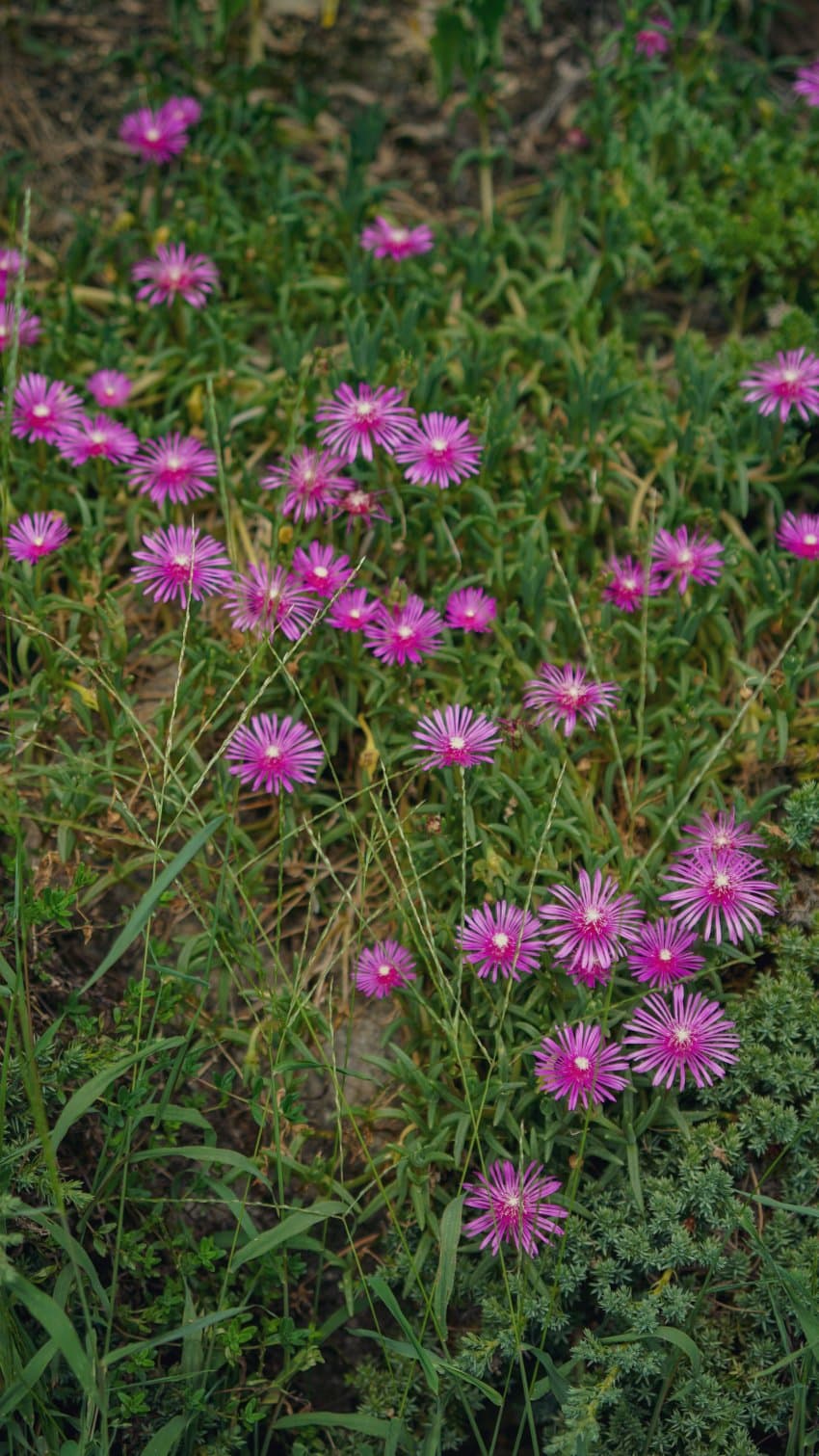 DC Inside 이미지 16