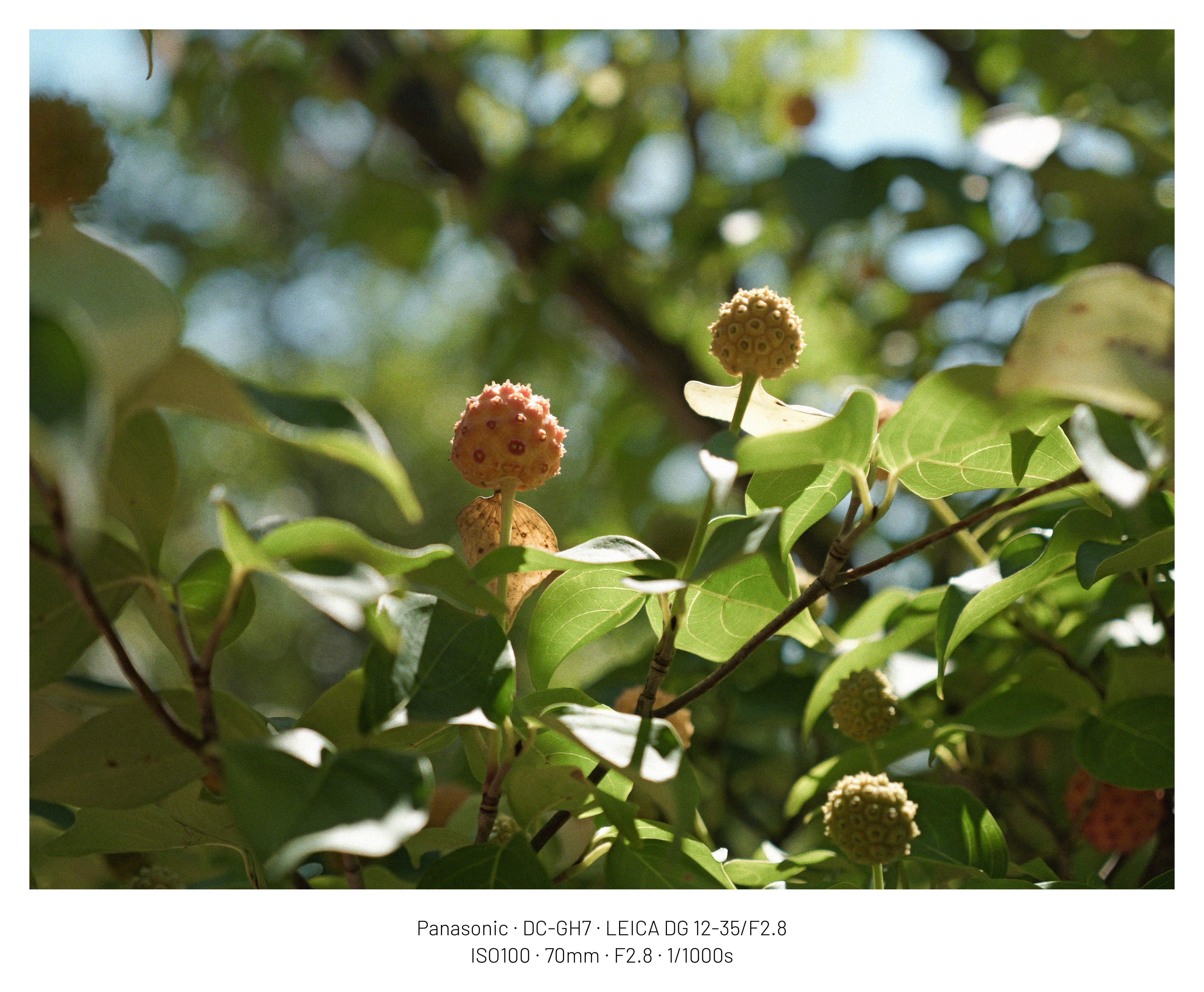 DC Inside 이미지 13