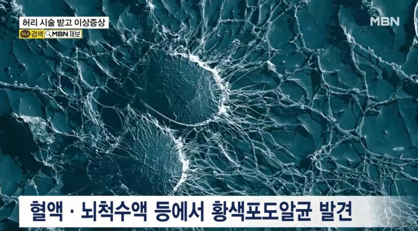 DC Inside 이미지 5
