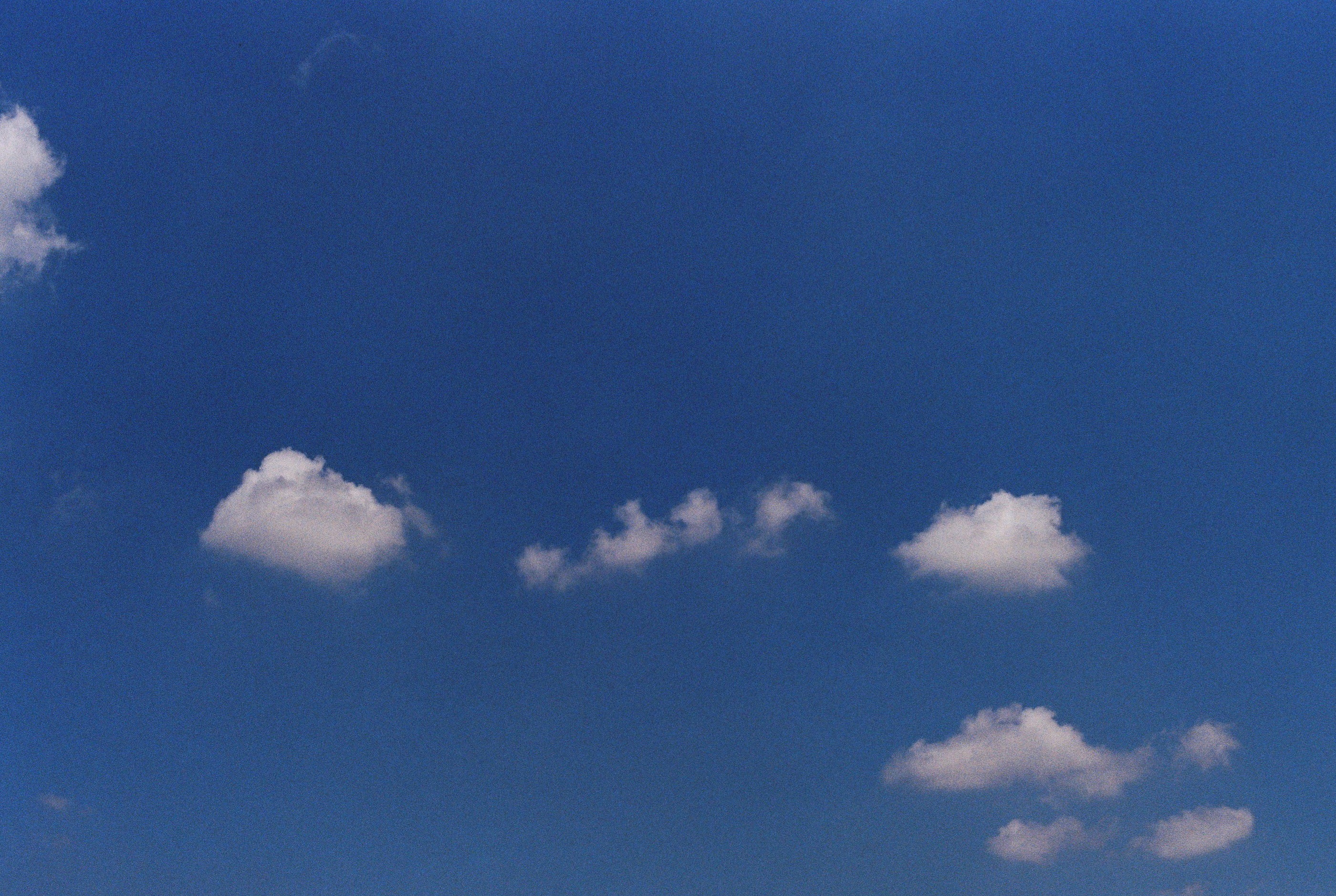 DC Inside 이미지 9