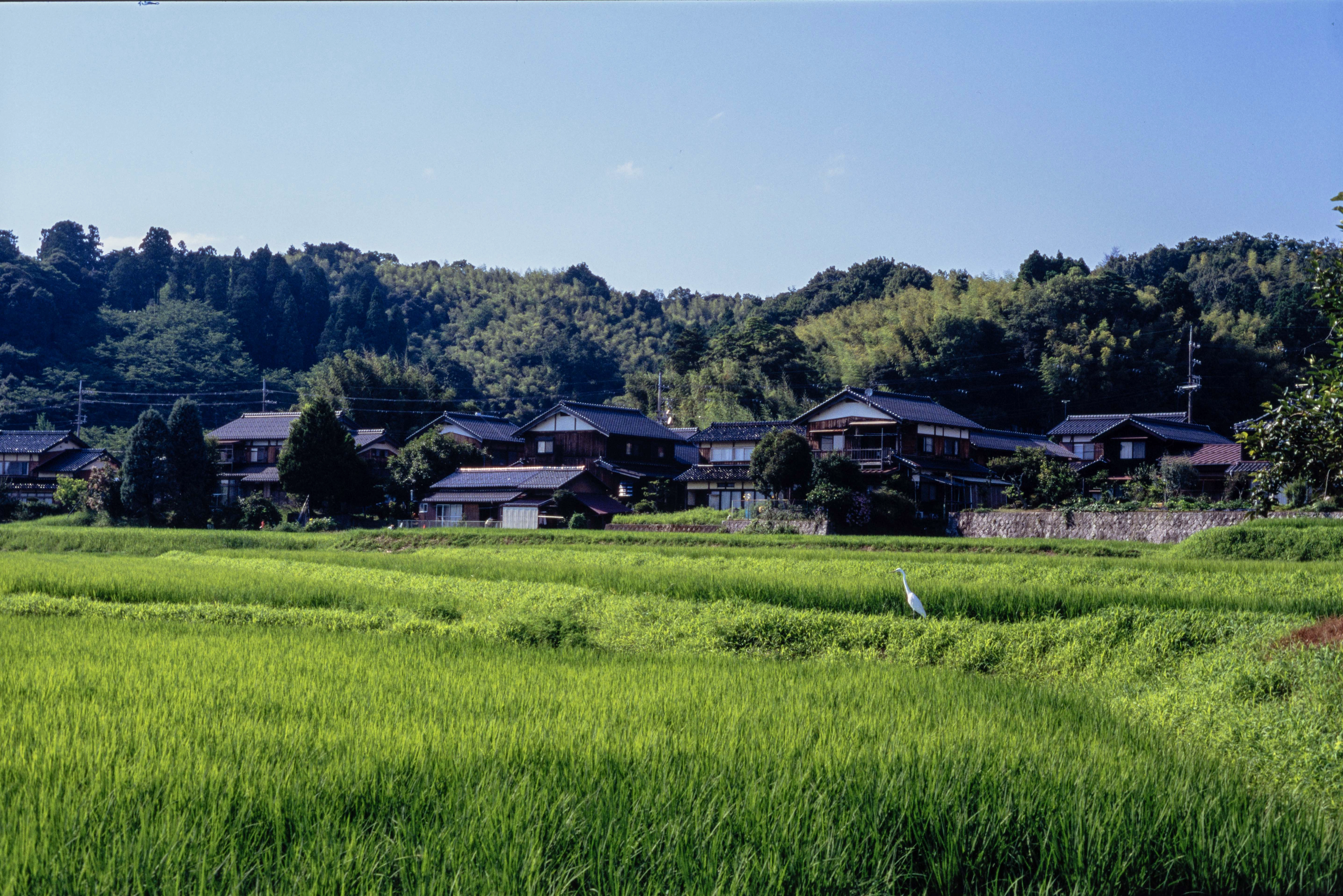 DC Inside 이미지 13