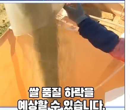 DC Inside 이미지 19