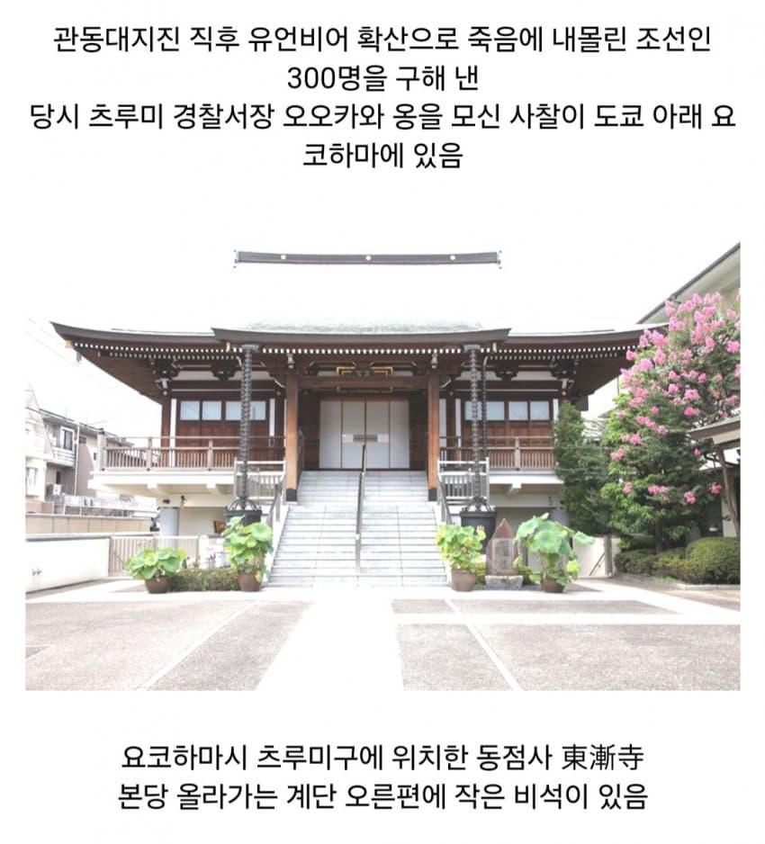 DC Inside 이미지 4