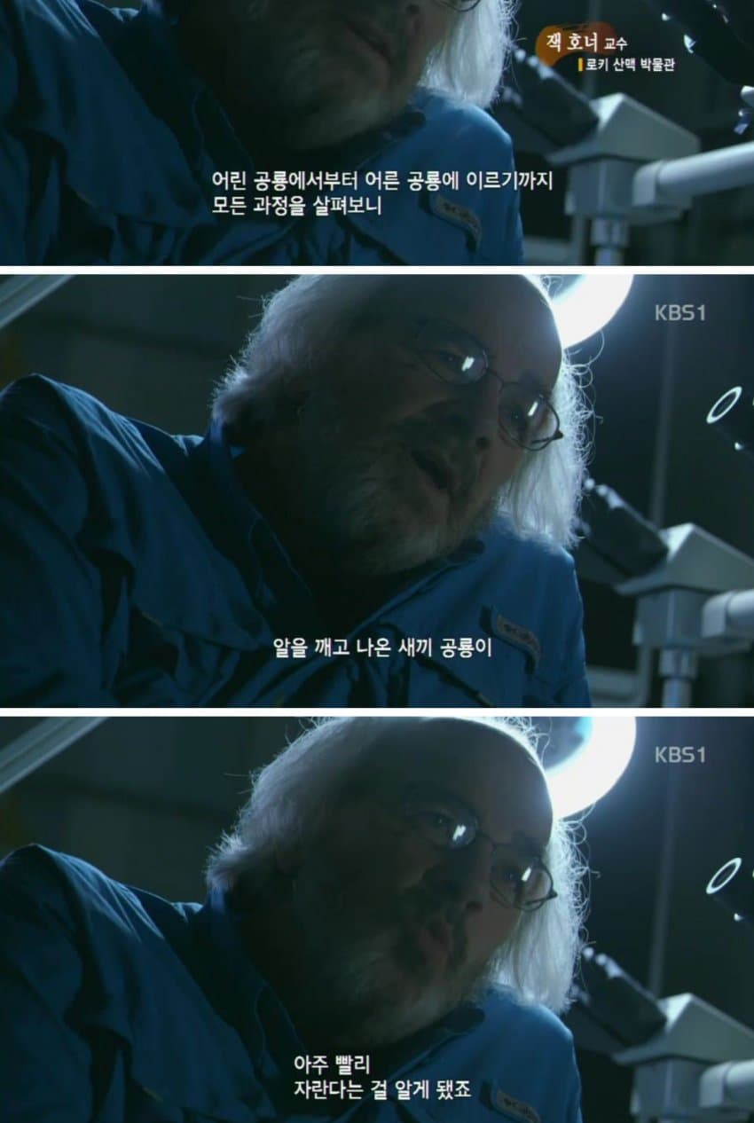 DC Inside 이미지 14