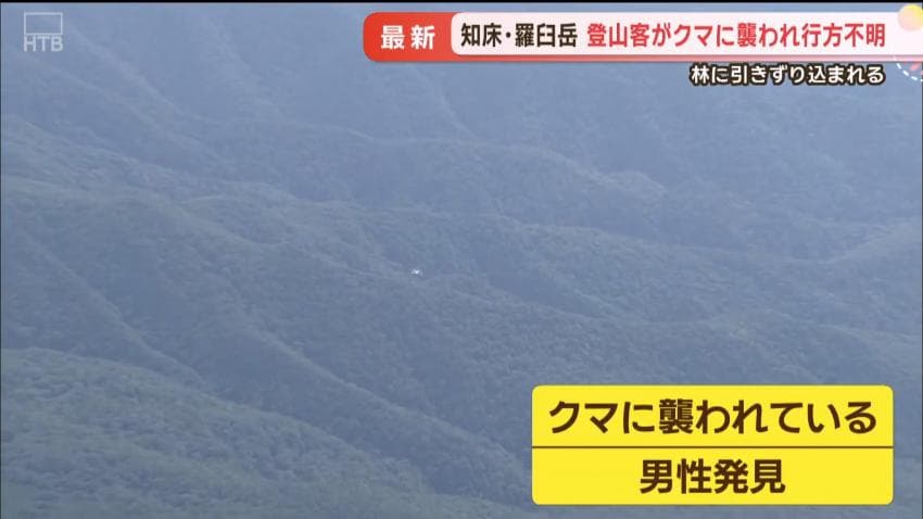 DC Inside 이미지 5