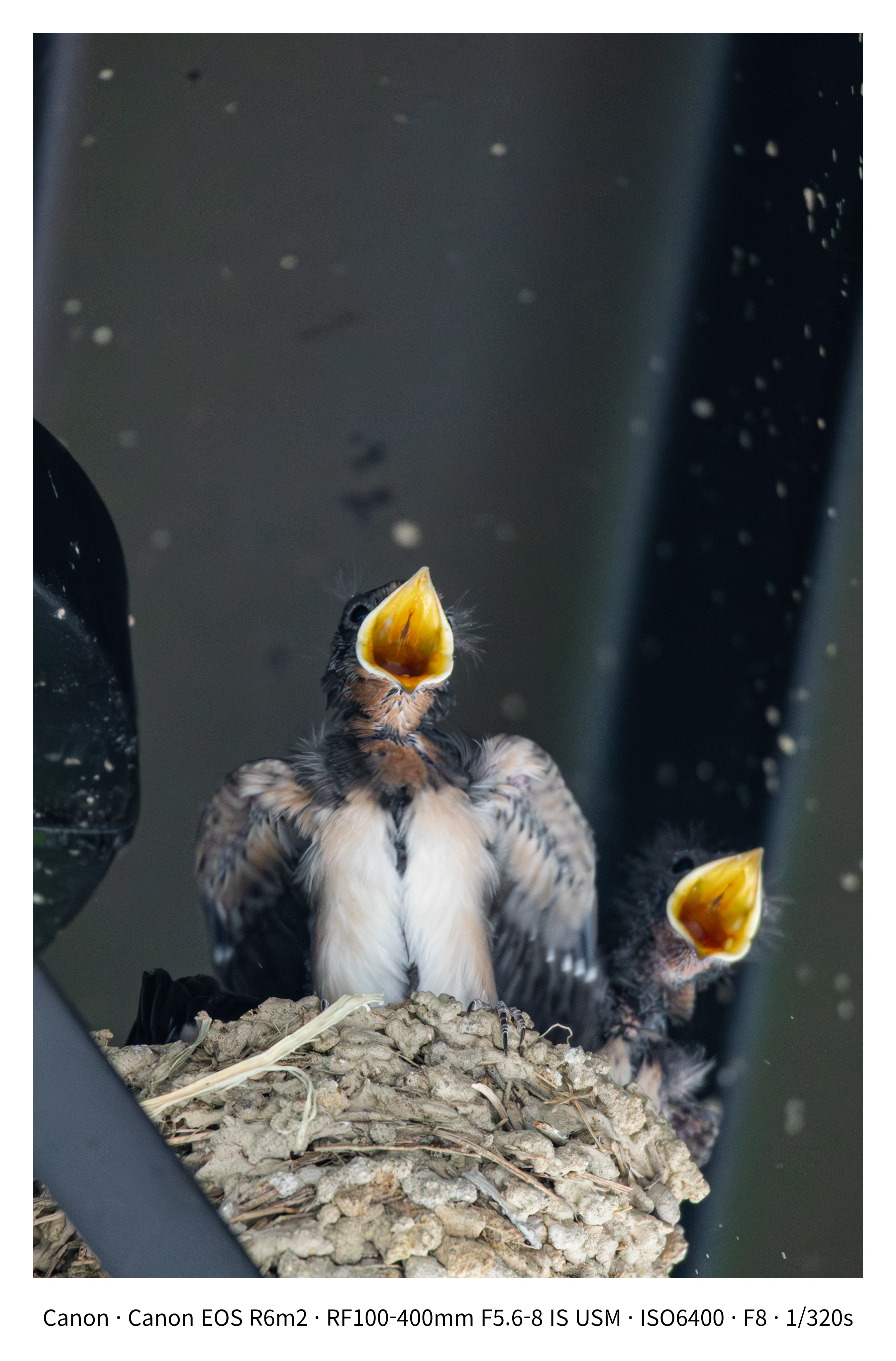 DC Inside 이미지 7