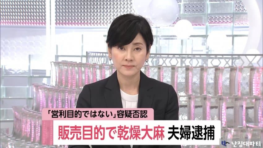 DC Inside 이미지 1