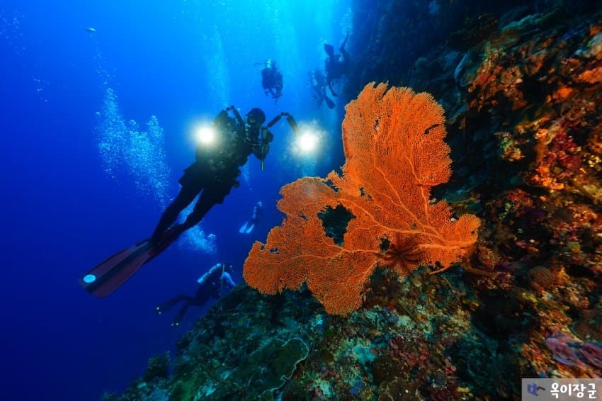 DC Inside 이미지 4