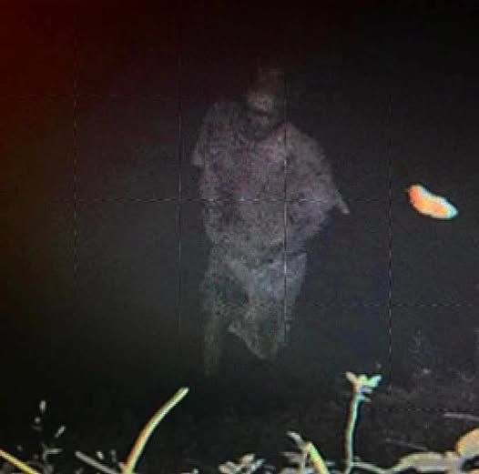 DC Inside 이미지 13