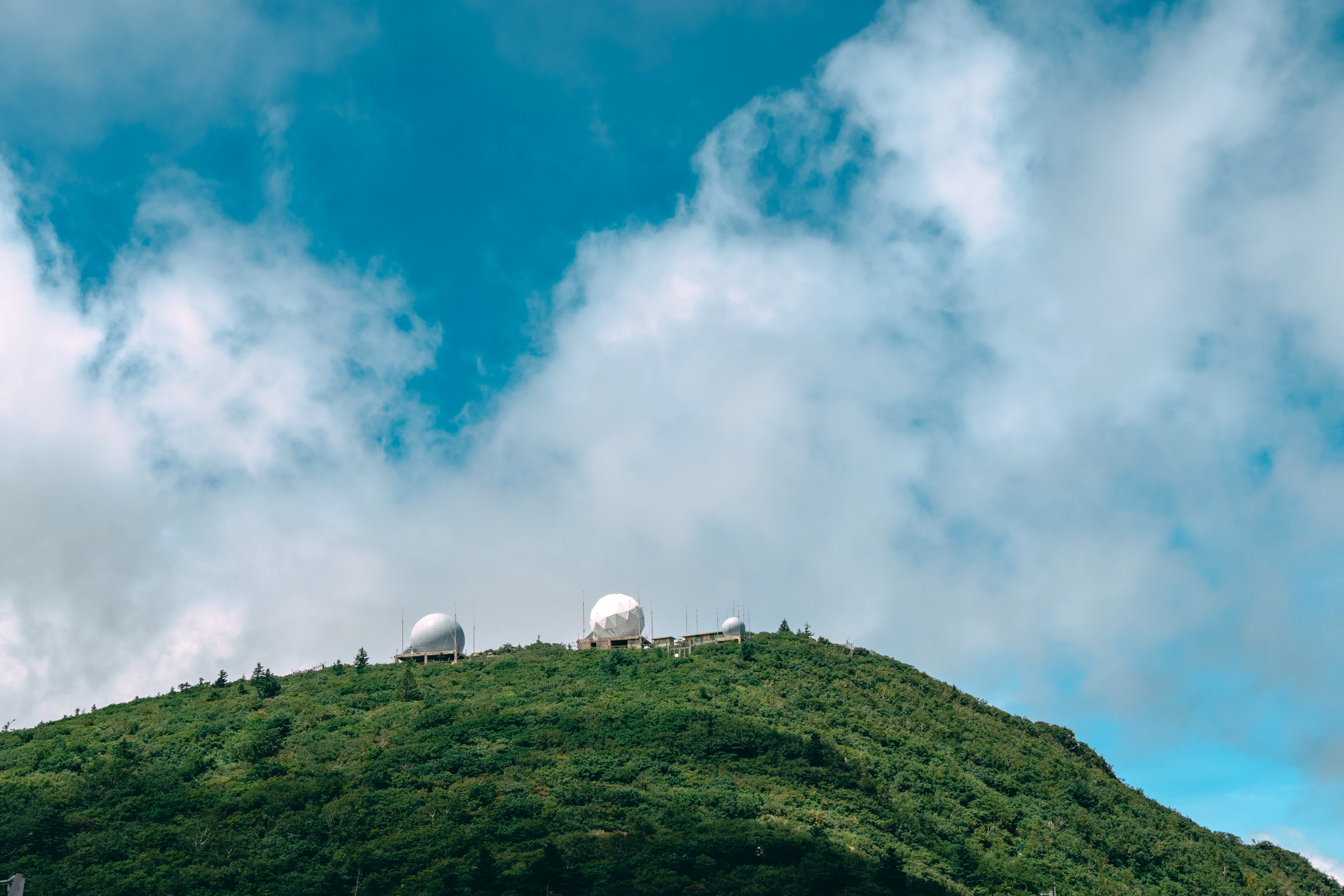 DC Inside 이미지 11