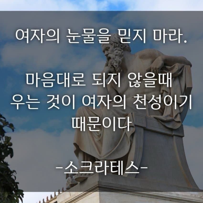 DC Inside 이미지 5