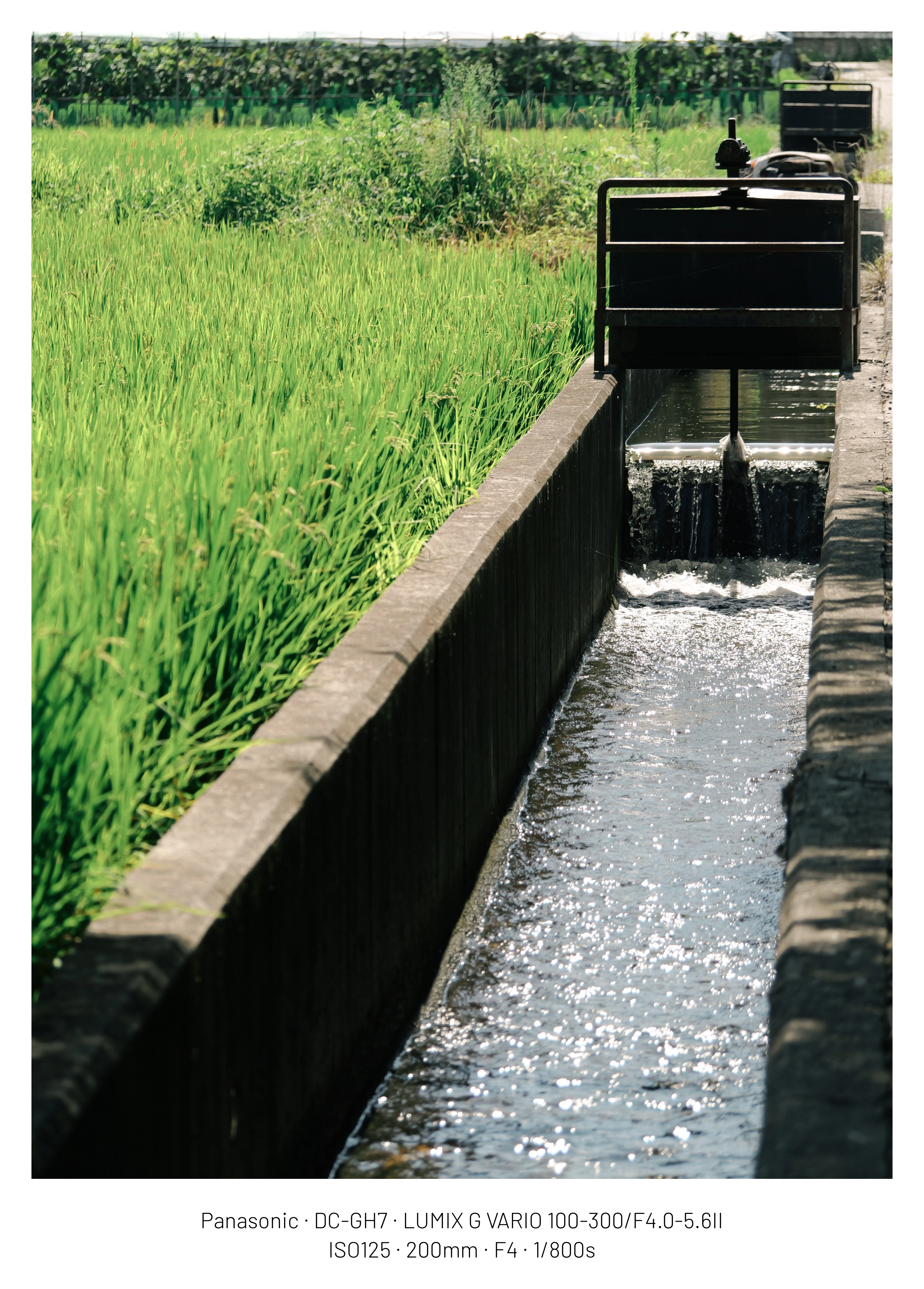 DC Inside 이미지 10