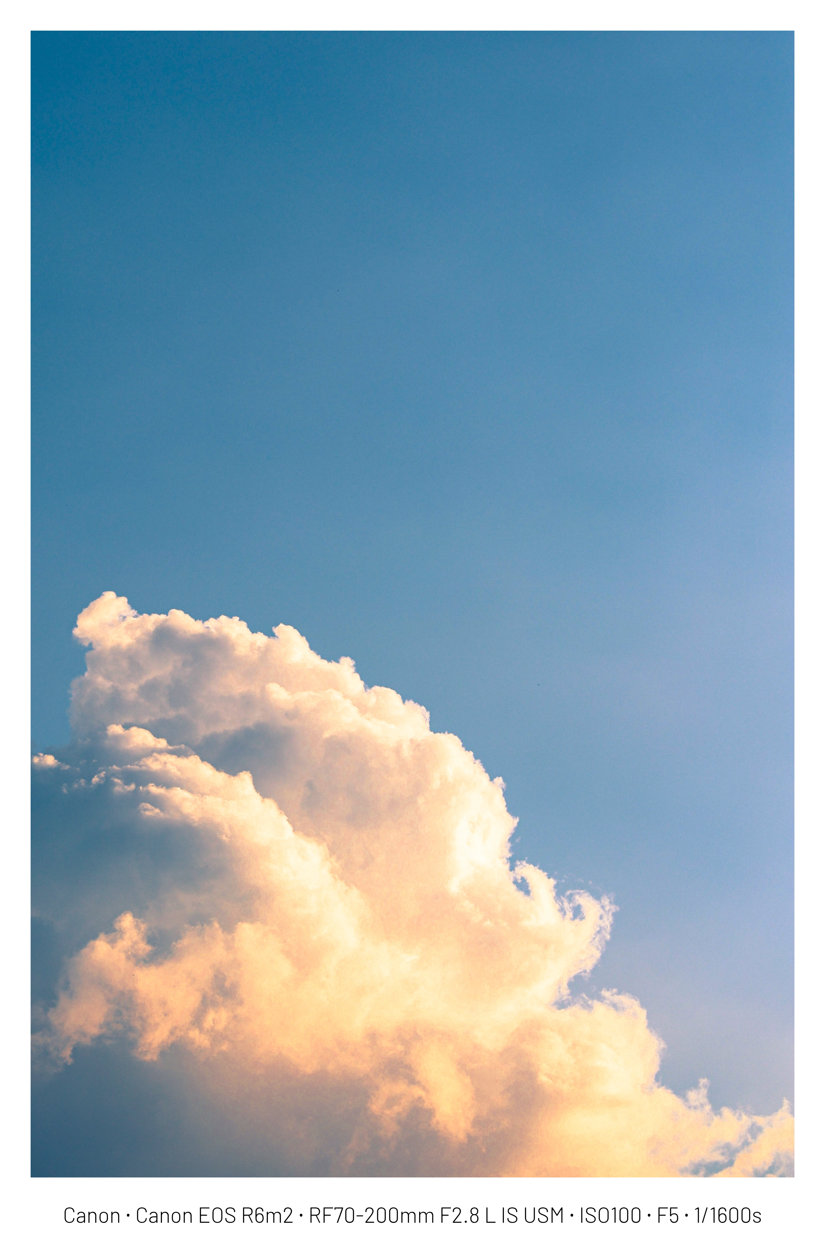 DC Inside 이미지 14