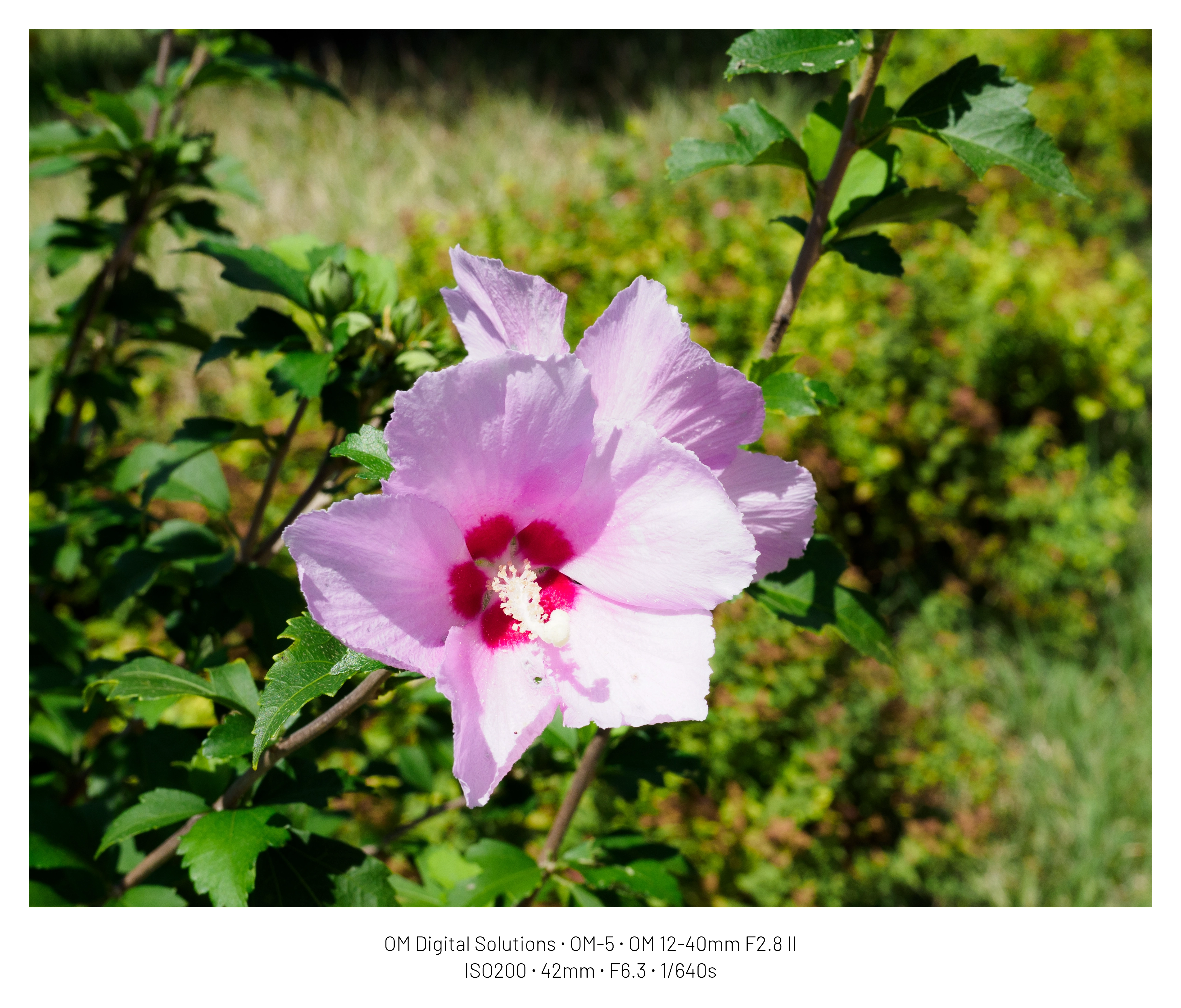 DC Inside 이미지 9