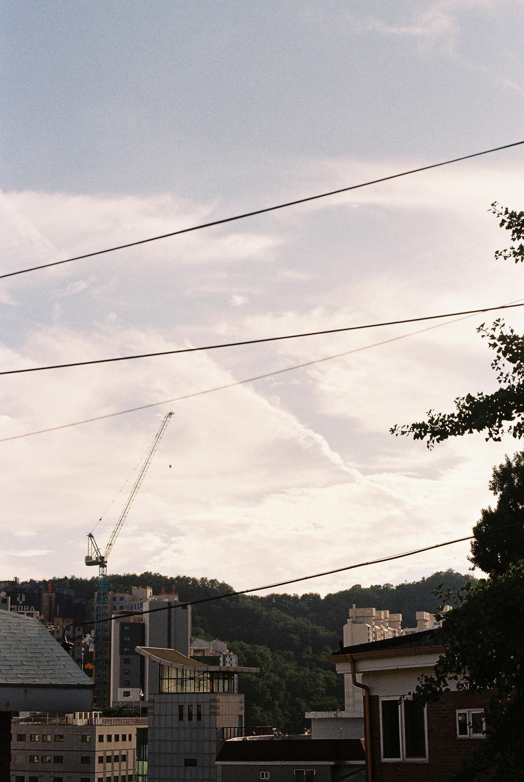 DC Inside 이미지 19