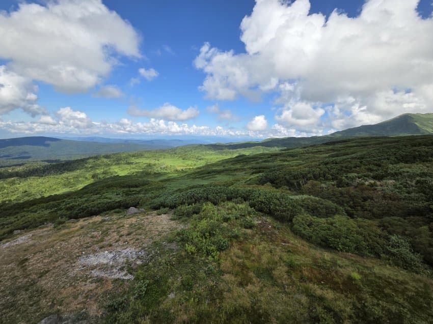 DC Inside 이미지 10