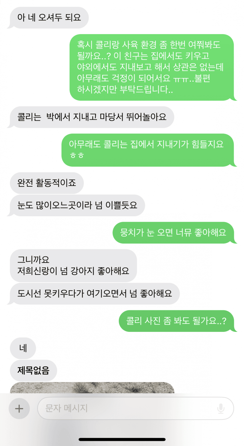 DC Inside 이미지 4