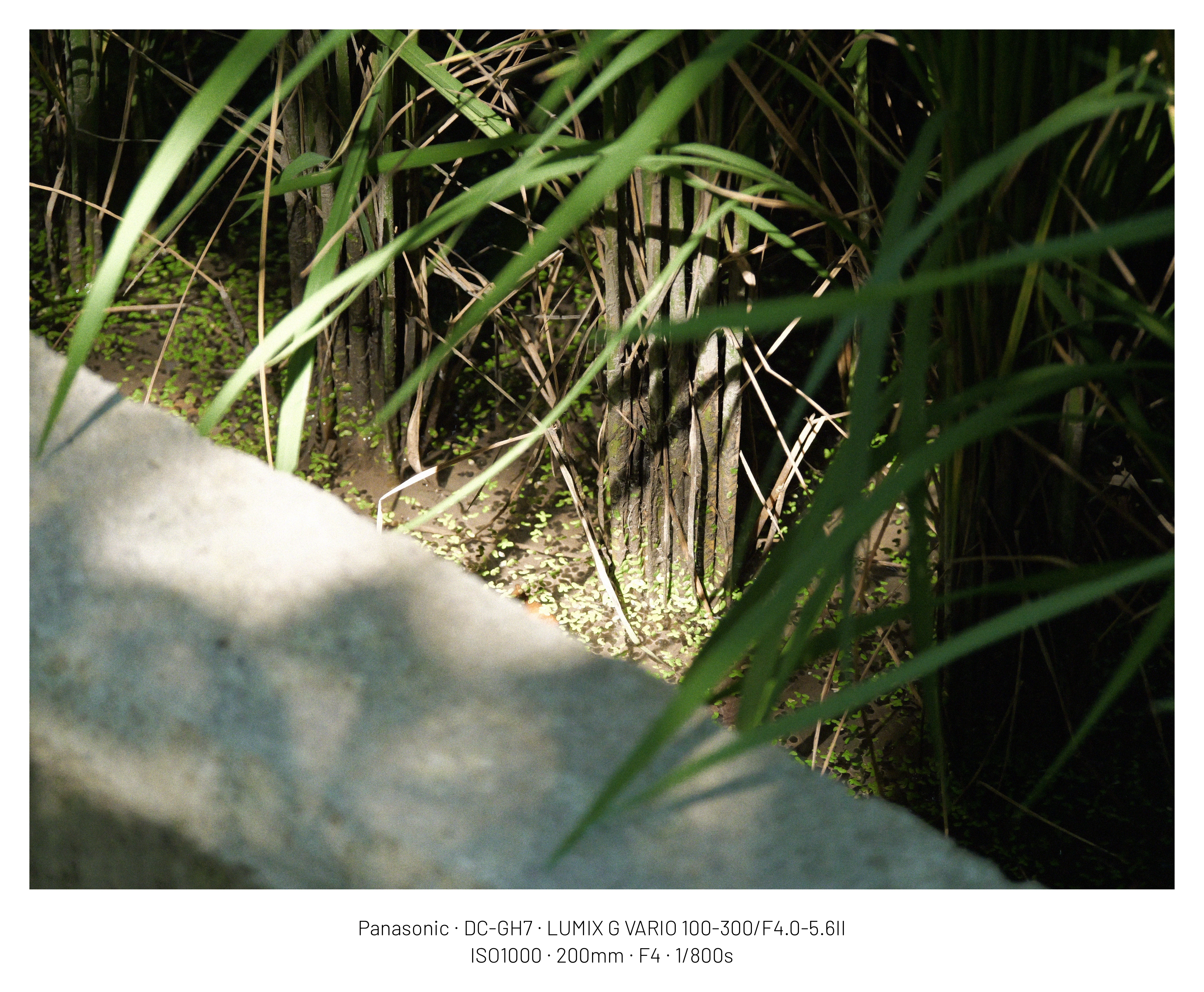 DC Inside 이미지 11