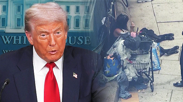 DC Inside 이미지 5