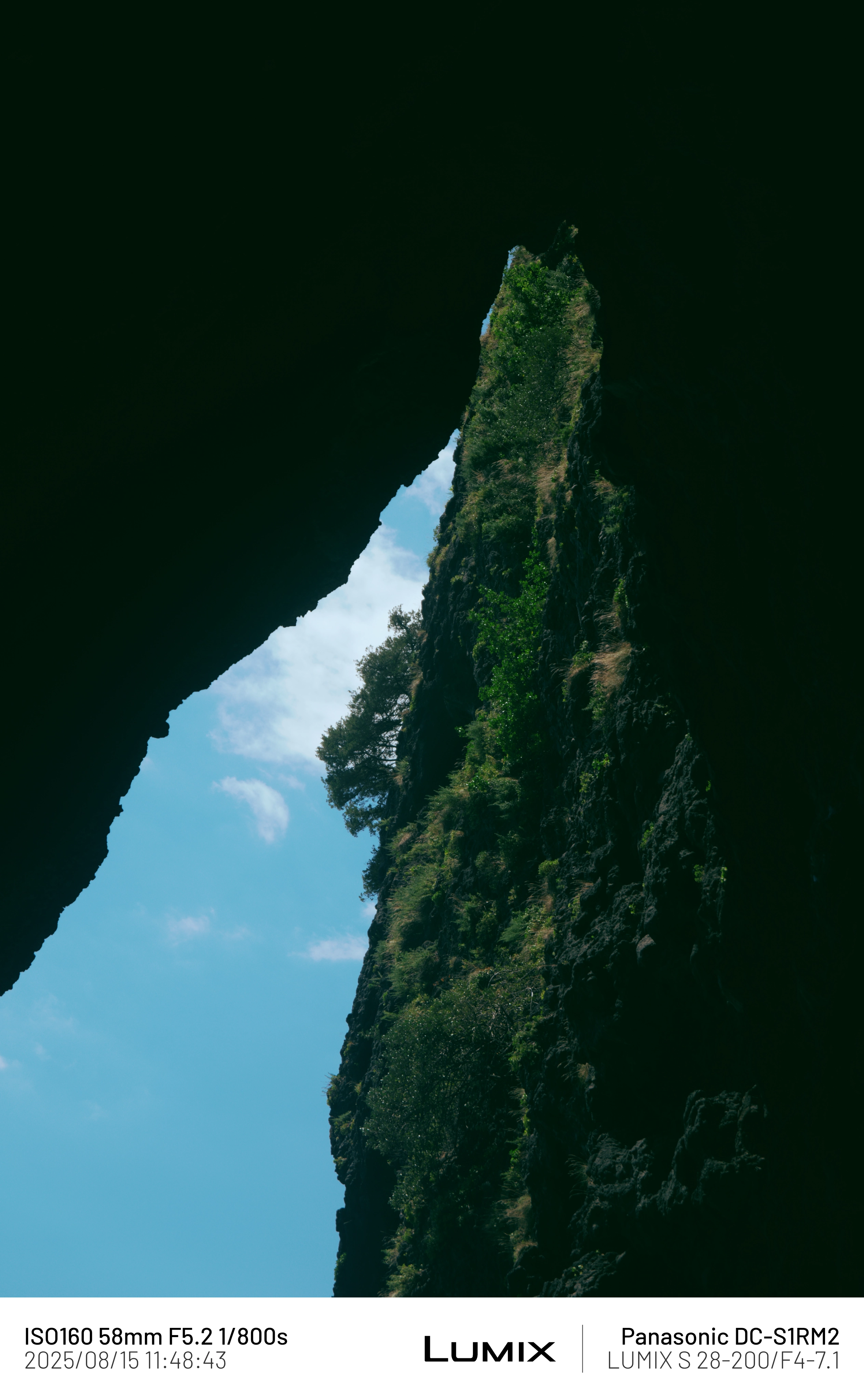 DC Inside 이미지 5