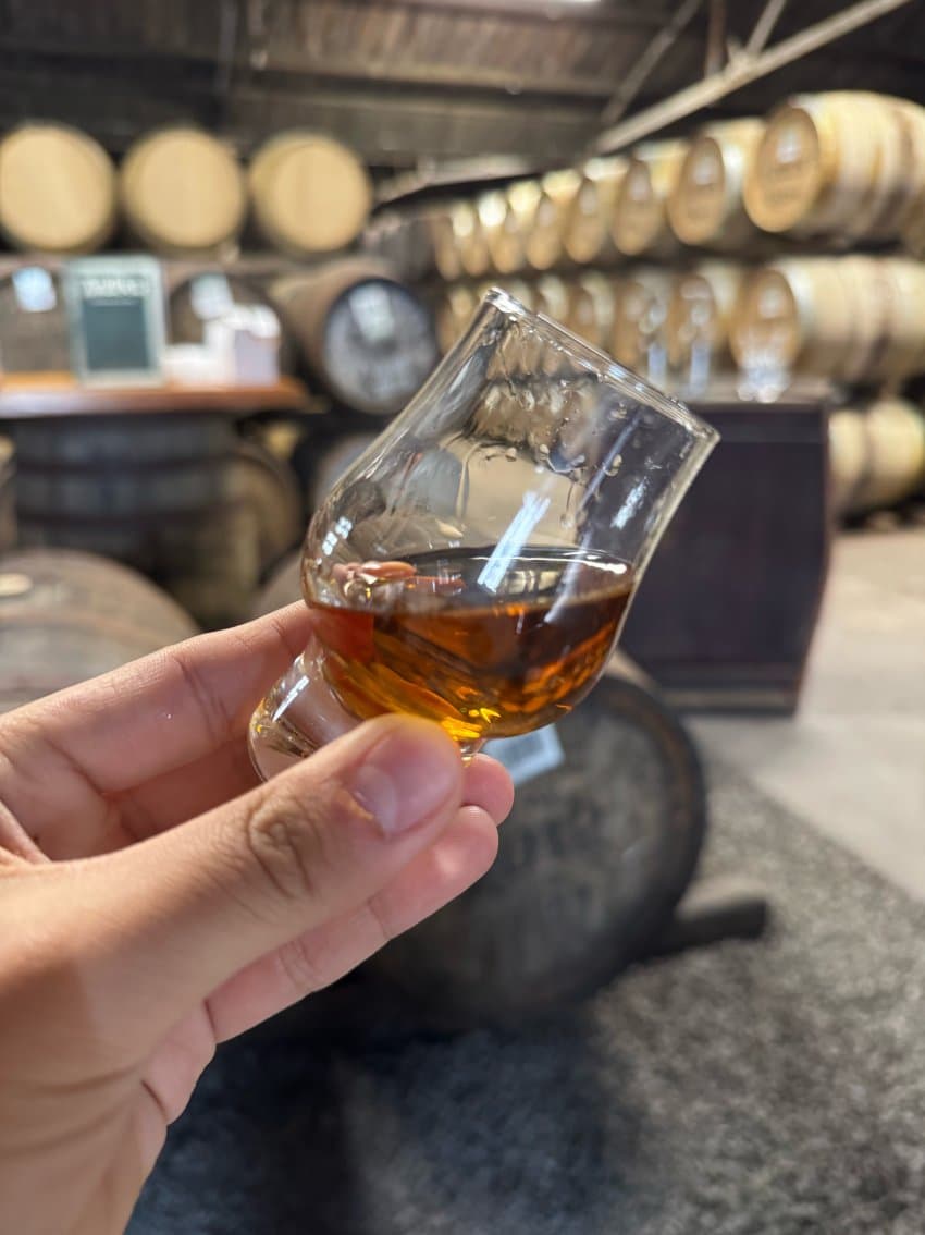 DC Inside 이미지 11