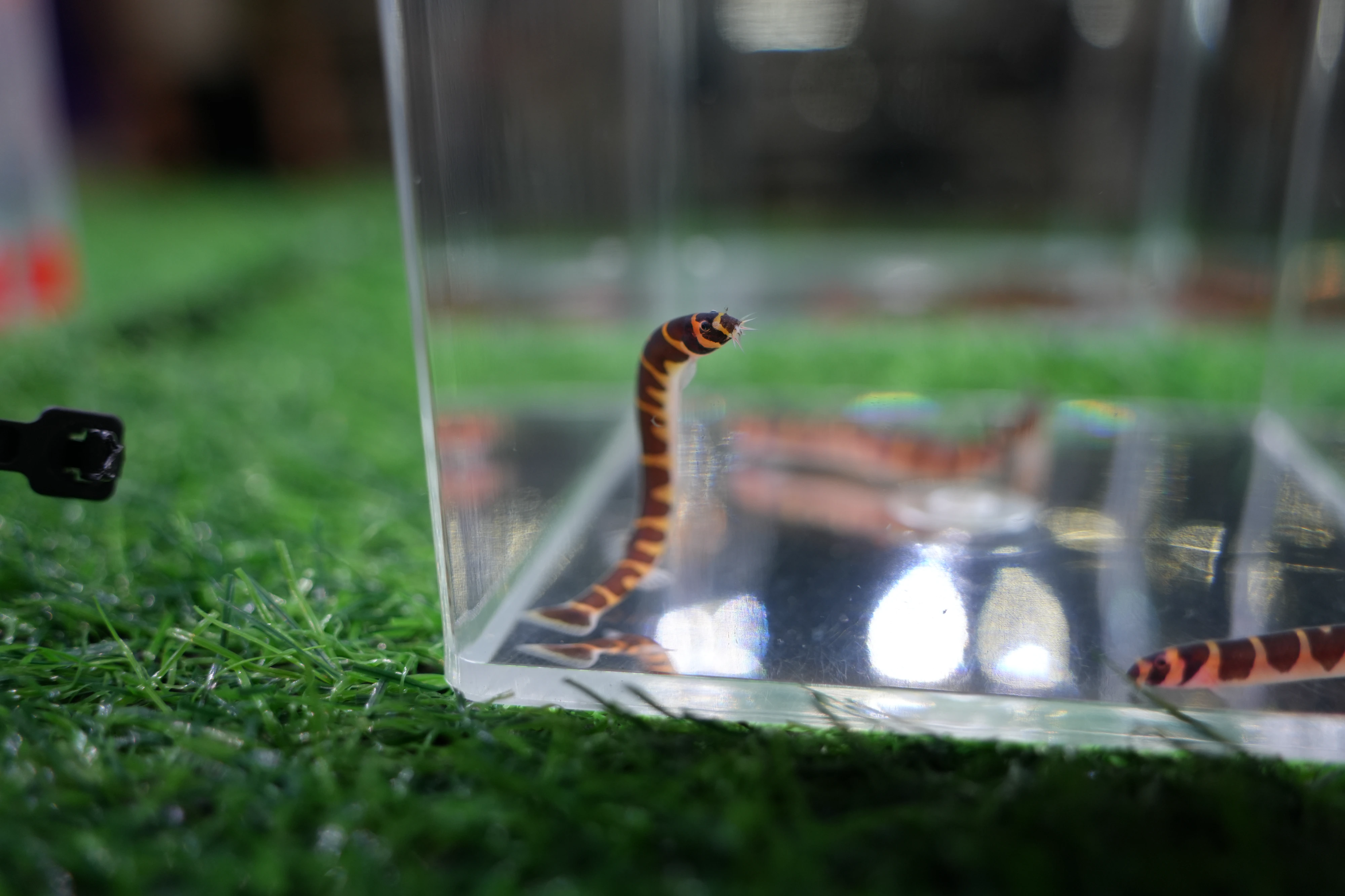 DC Inside 이미지 18