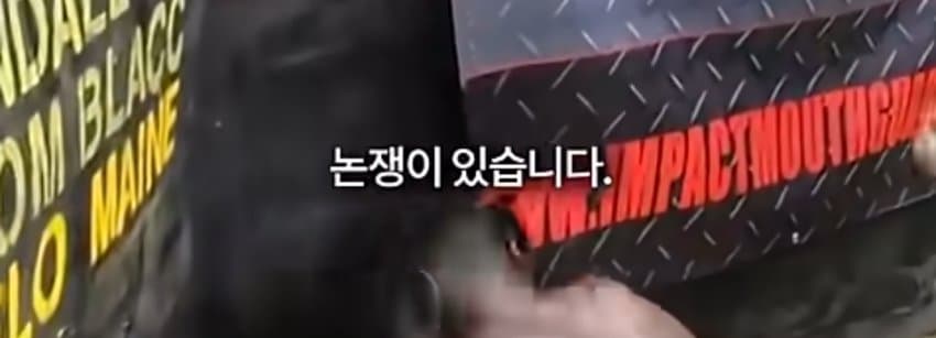 DC Inside 이미지 4