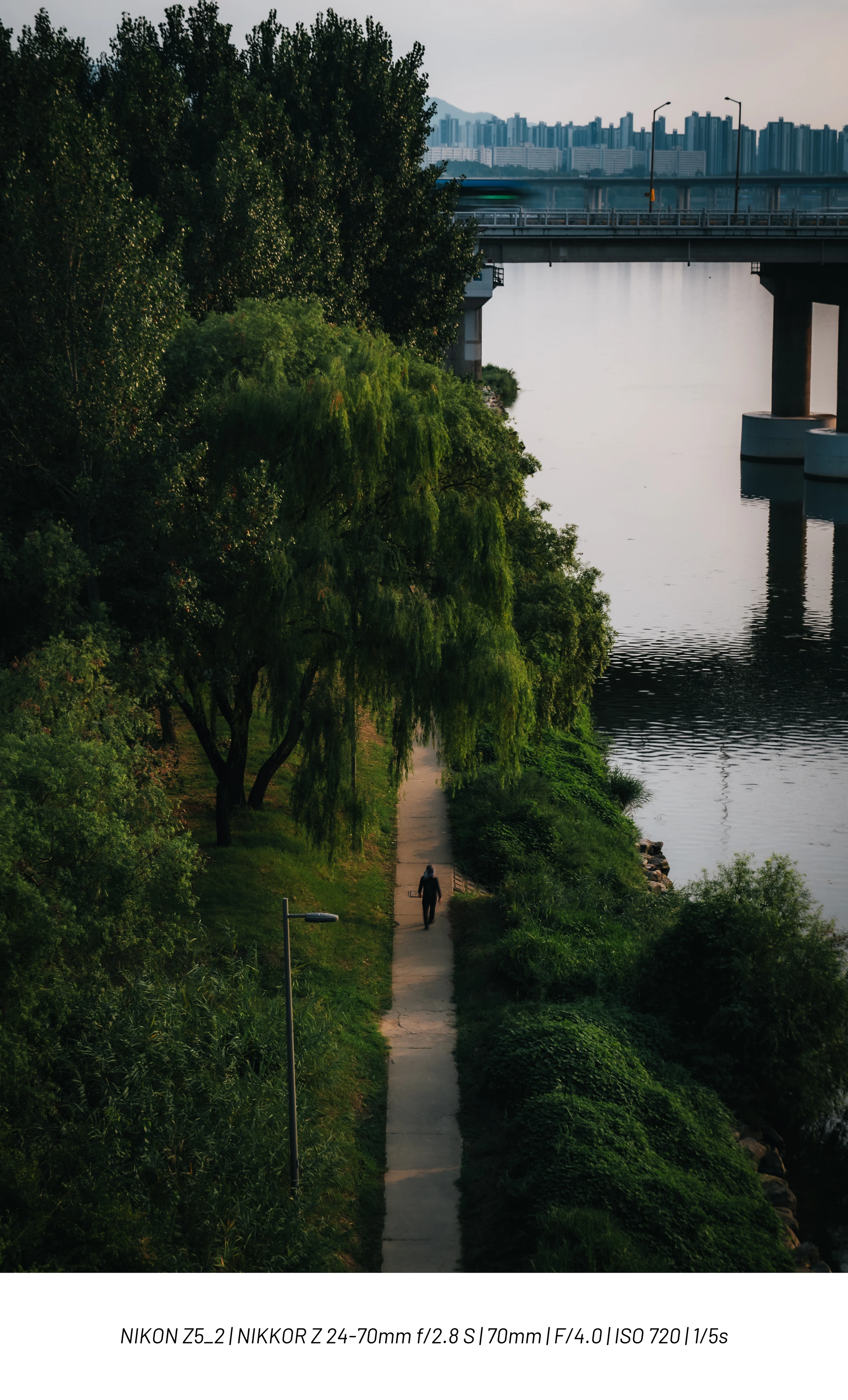 DC Inside 이미지 17