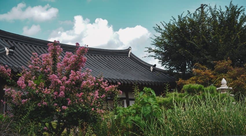 DC Inside 이미지 15