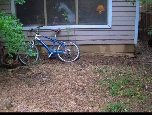 DC Inside 이미지 12