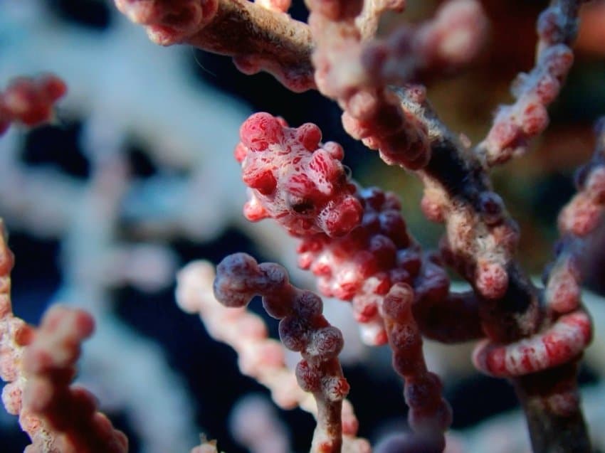 DC Inside 이미지 5