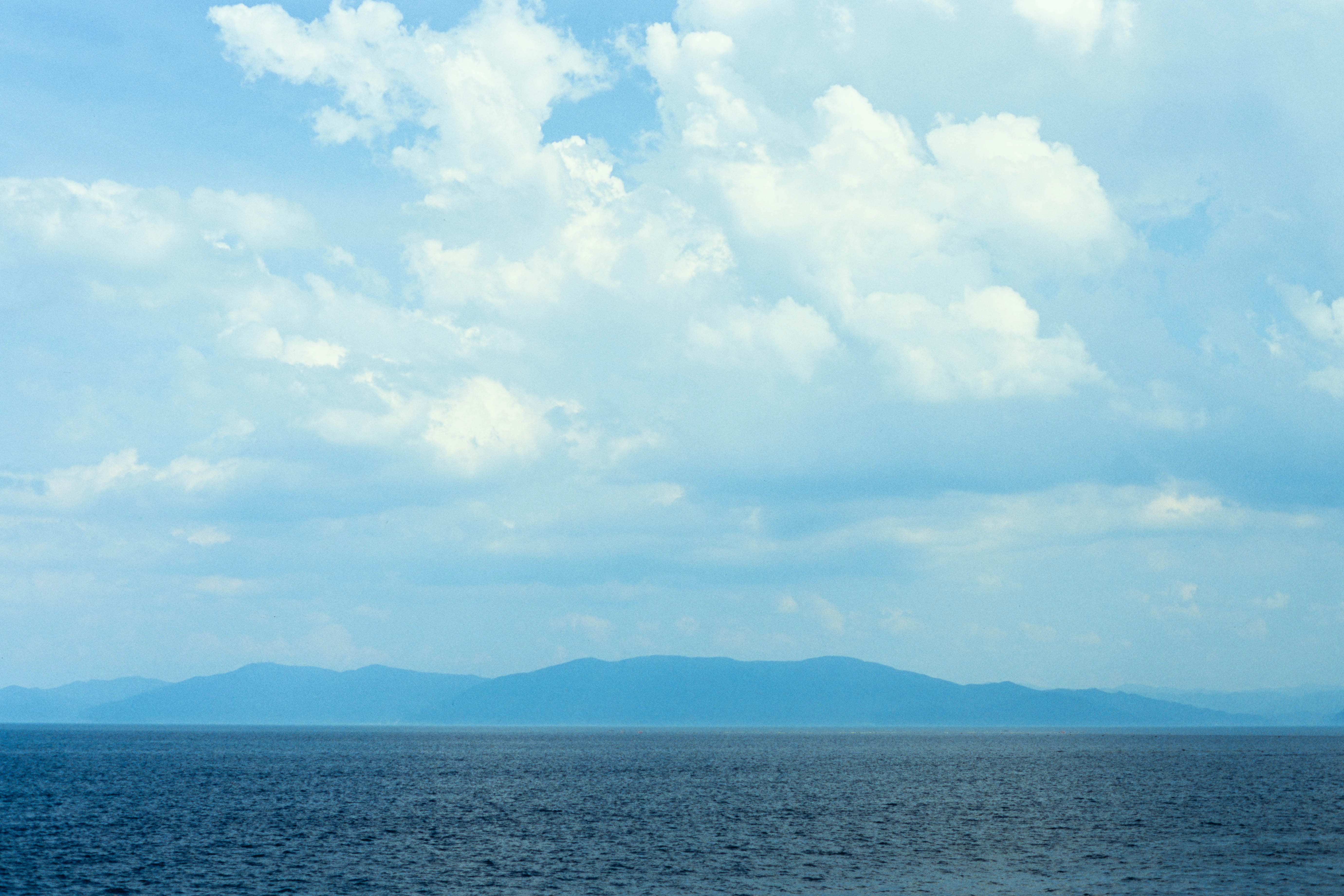 DC Inside 이미지 1