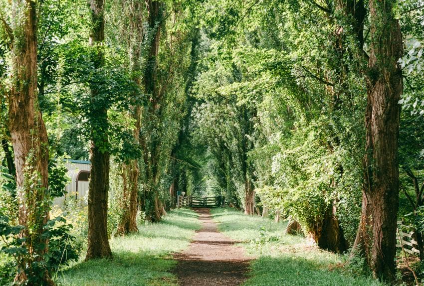 DC Inside 이미지 6