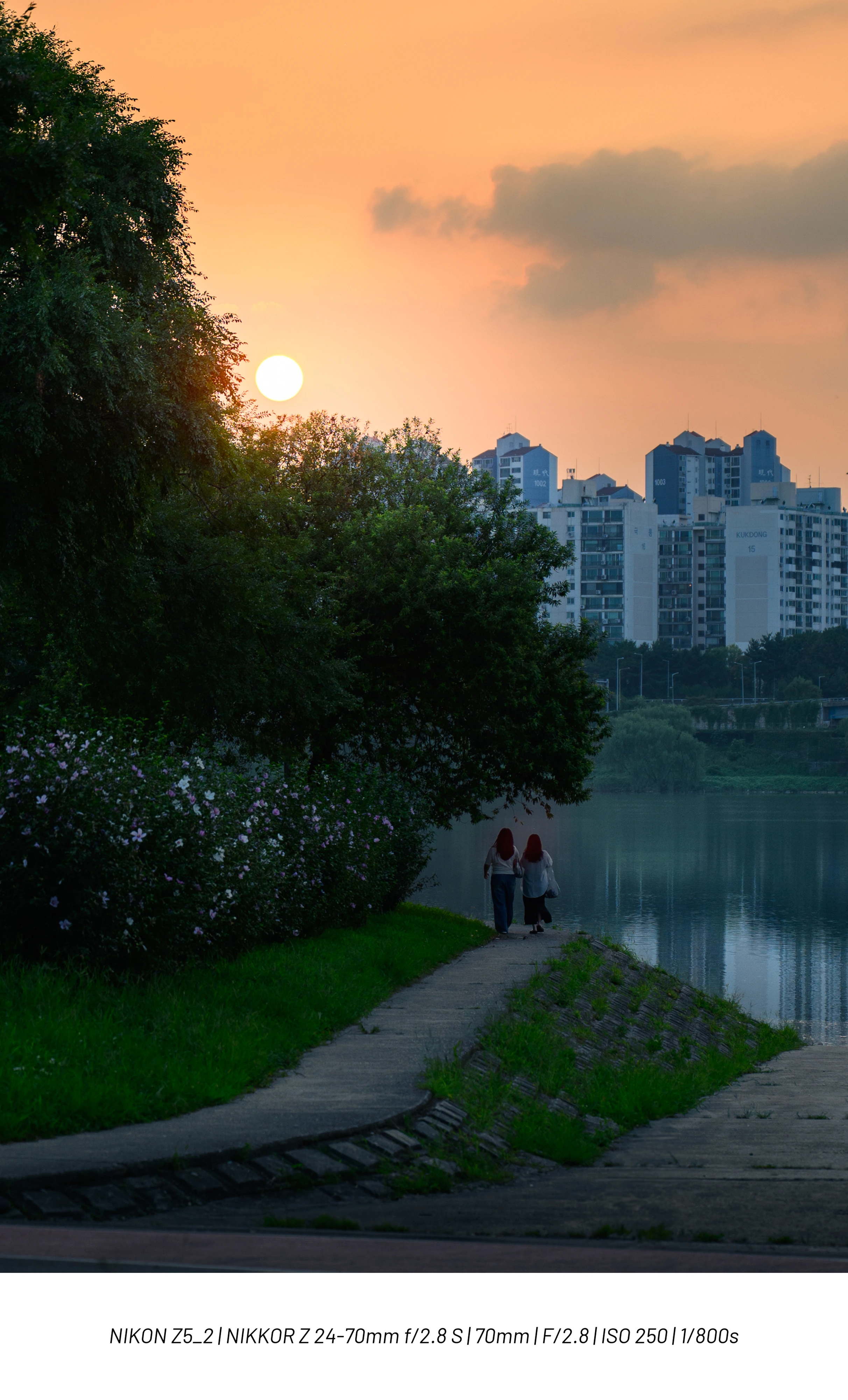 DC Inside 이미지 20