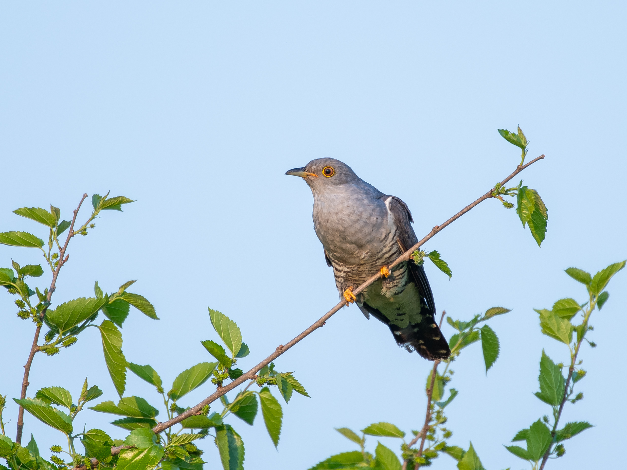 DC Inside 이미지 15