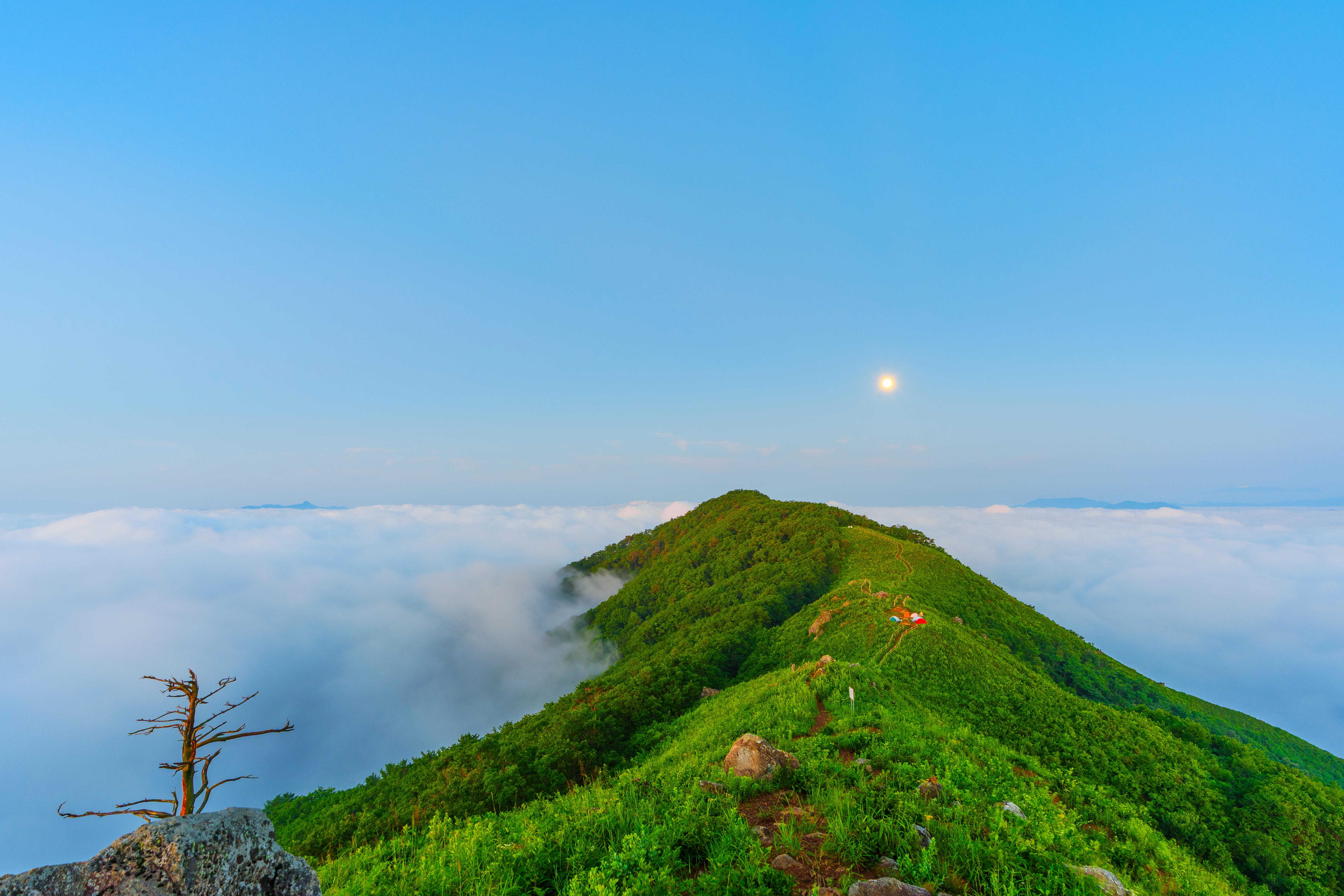 DC Inside 이미지 4