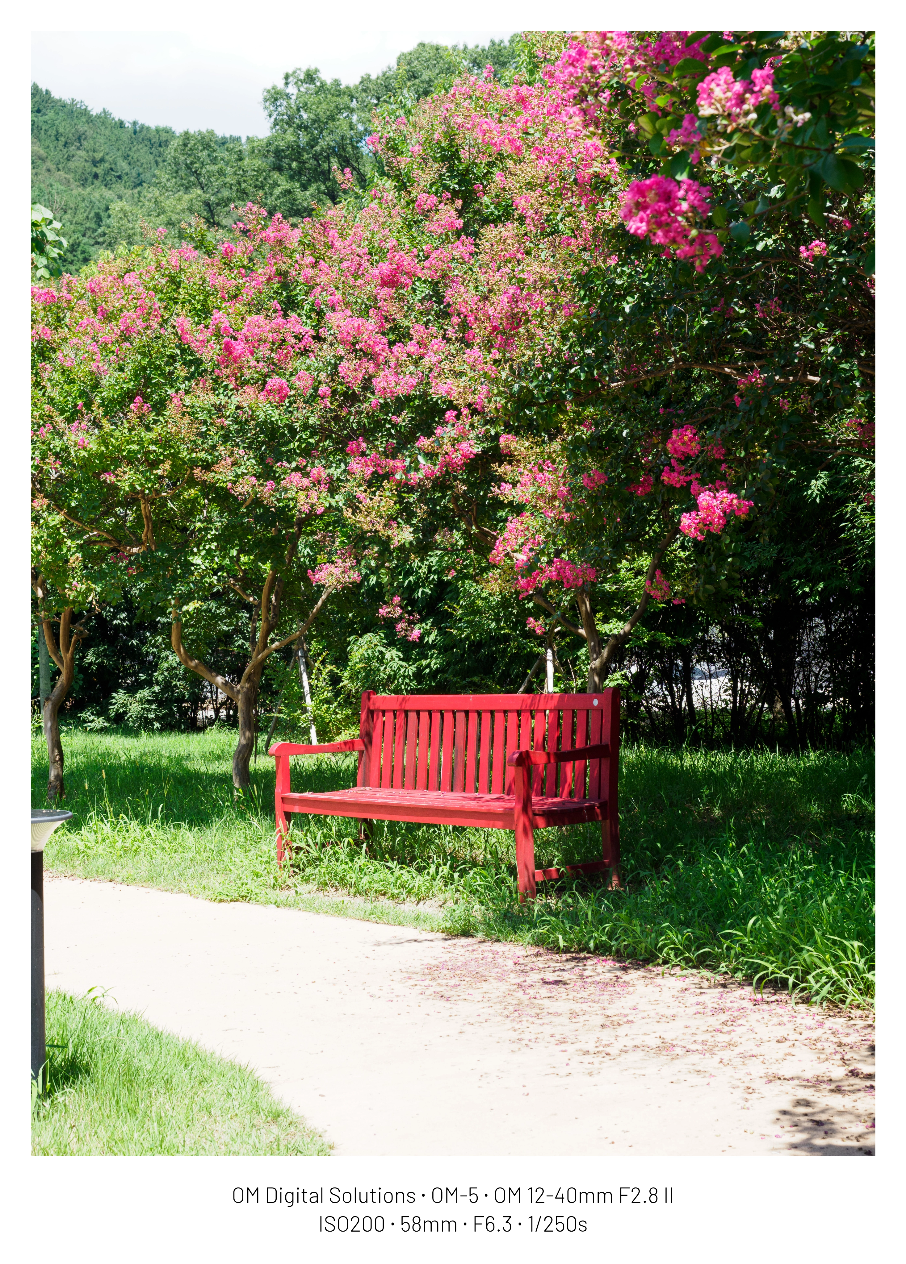 DC Inside 이미지 8