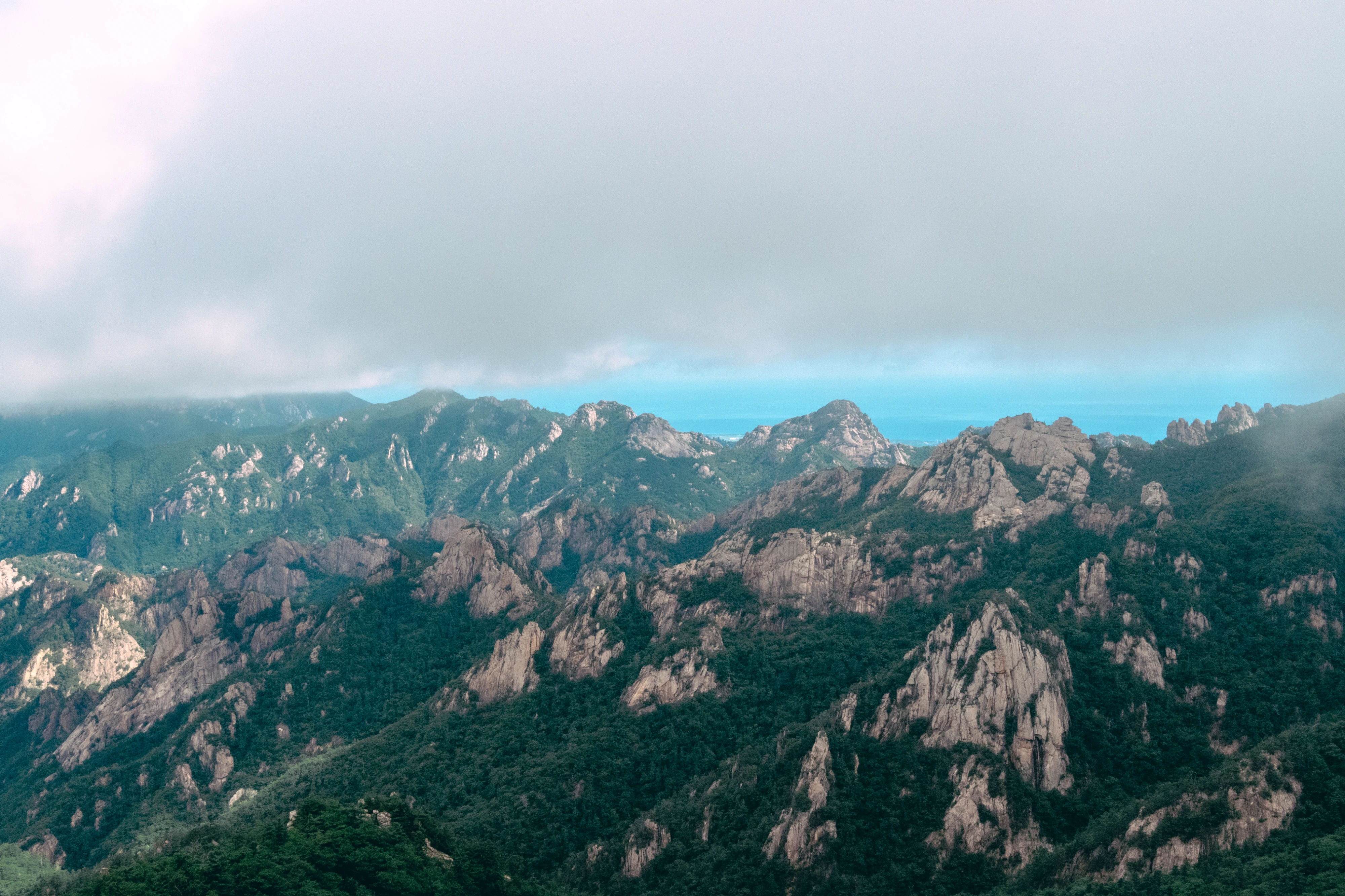 DC Inside 이미지 8