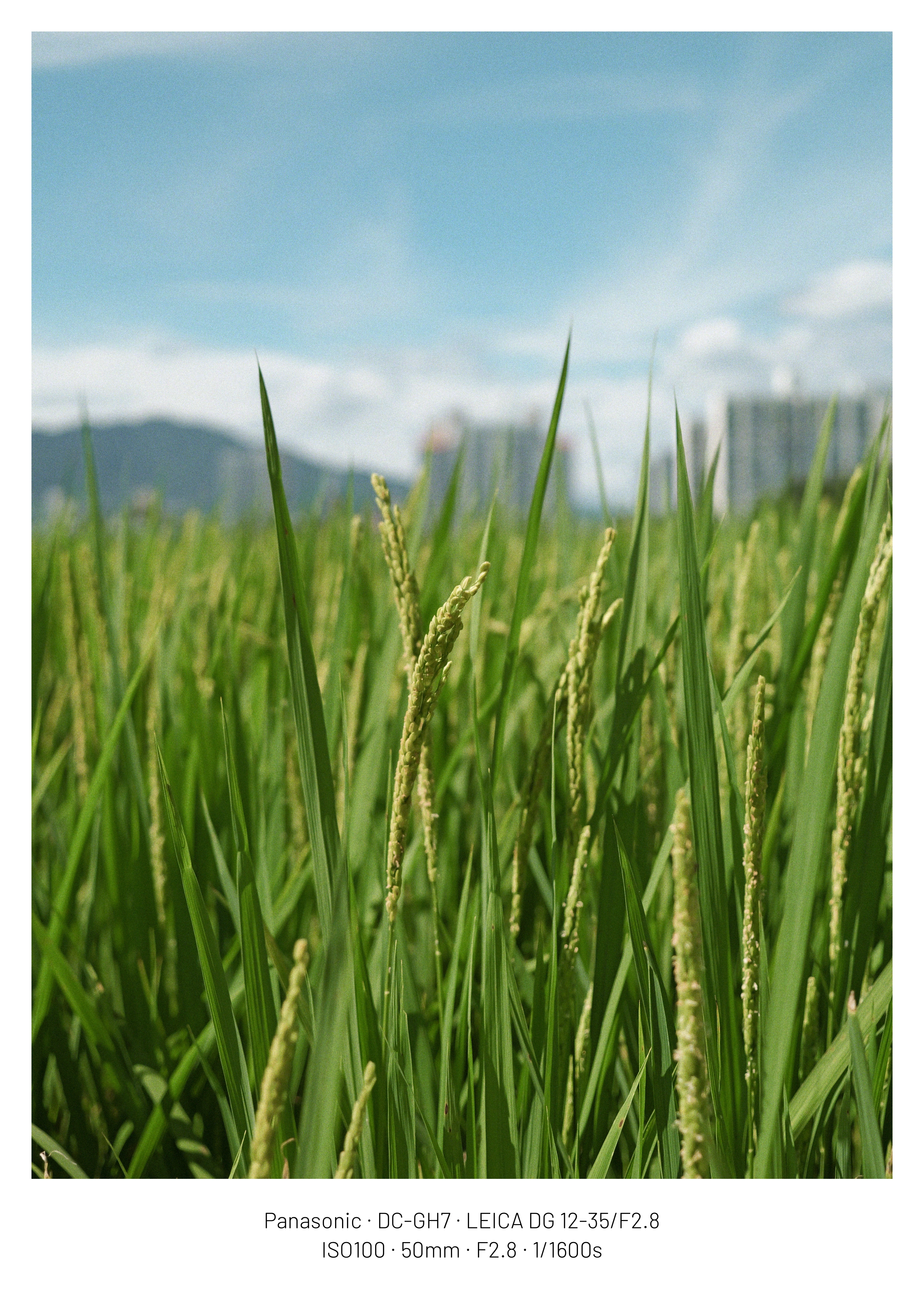 DC Inside 이미지 12