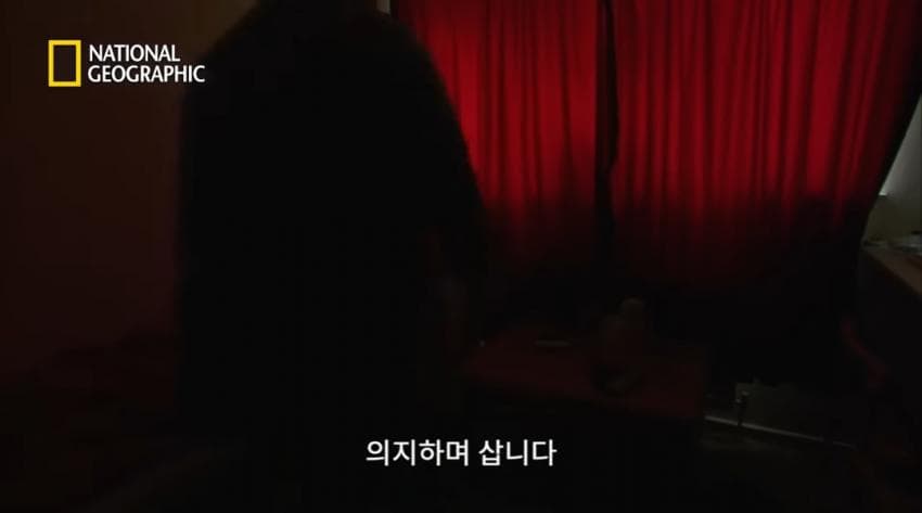 DC Inside 이미지 13