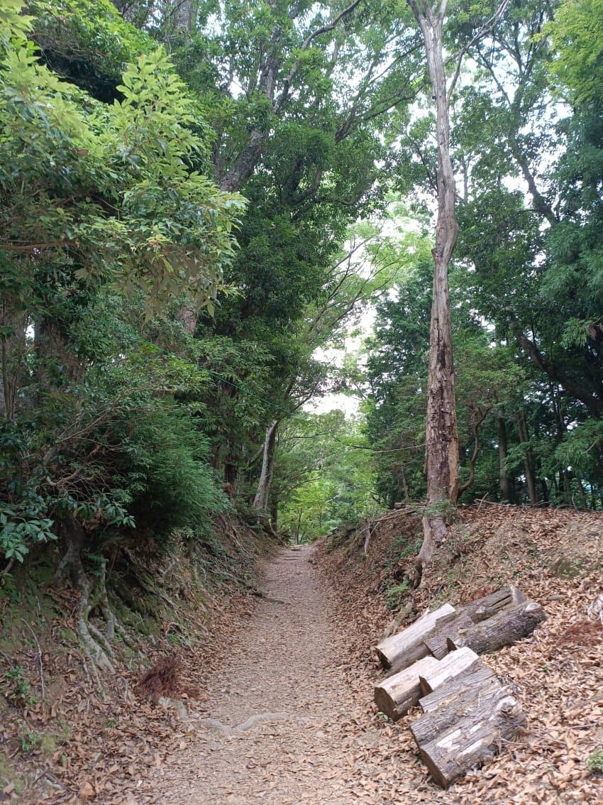 DC Inside 이미지 8