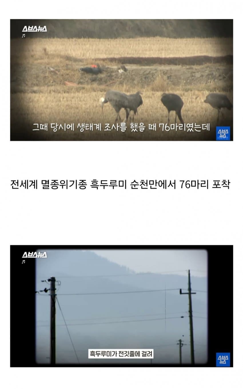 DC Inside 이미지 2