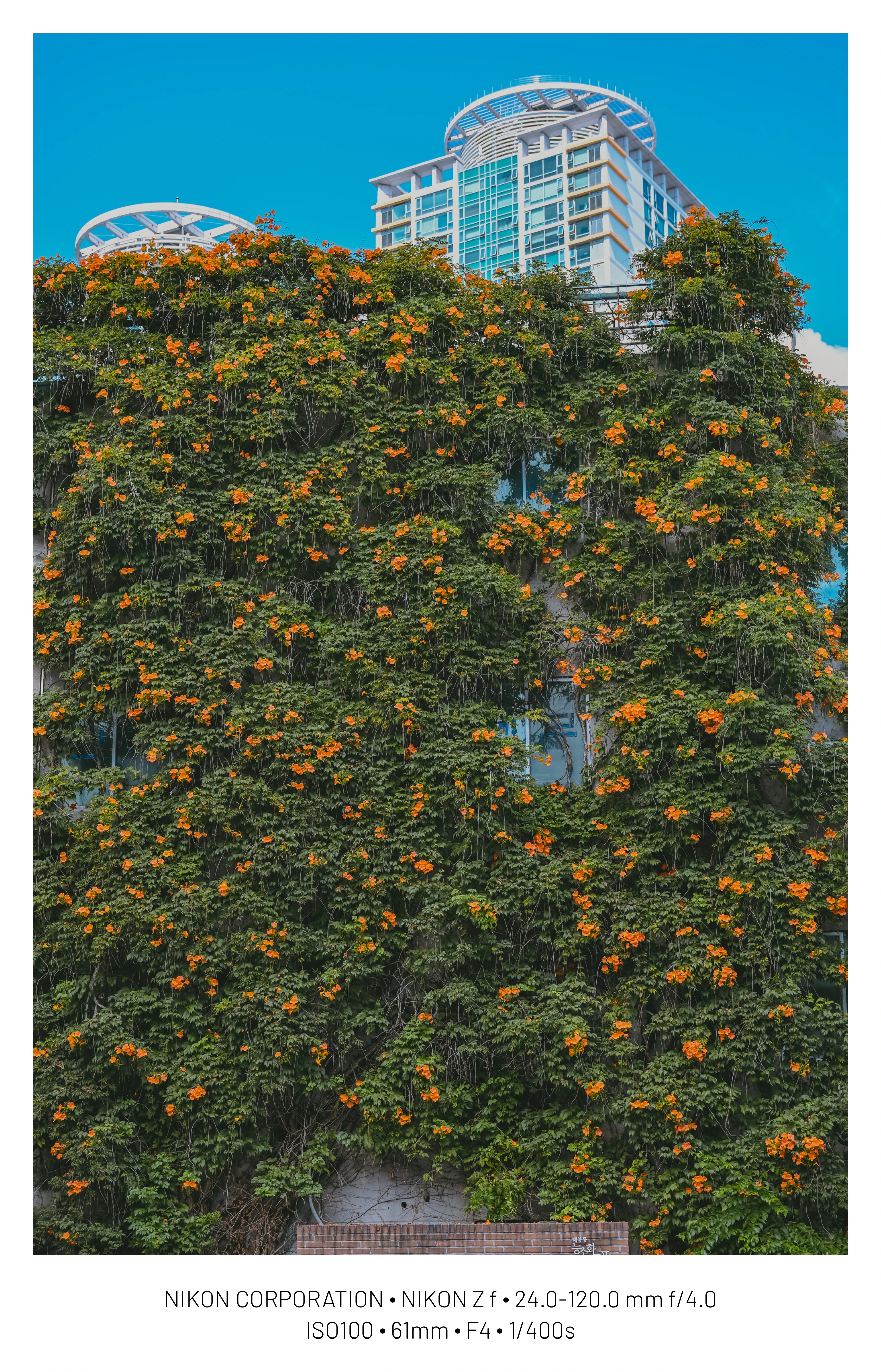 DC Inside 이미지 12