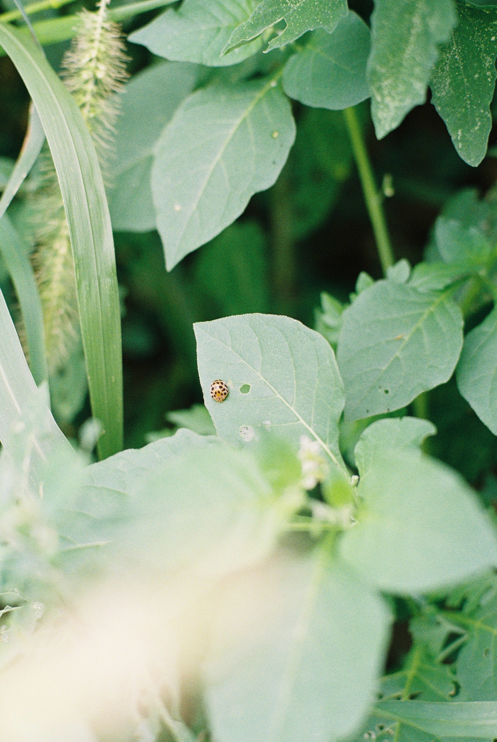 DC Inside 이미지 4