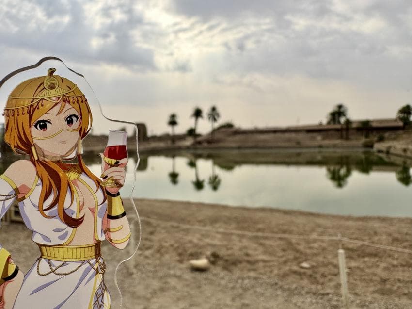 DC Inside 이미지 19