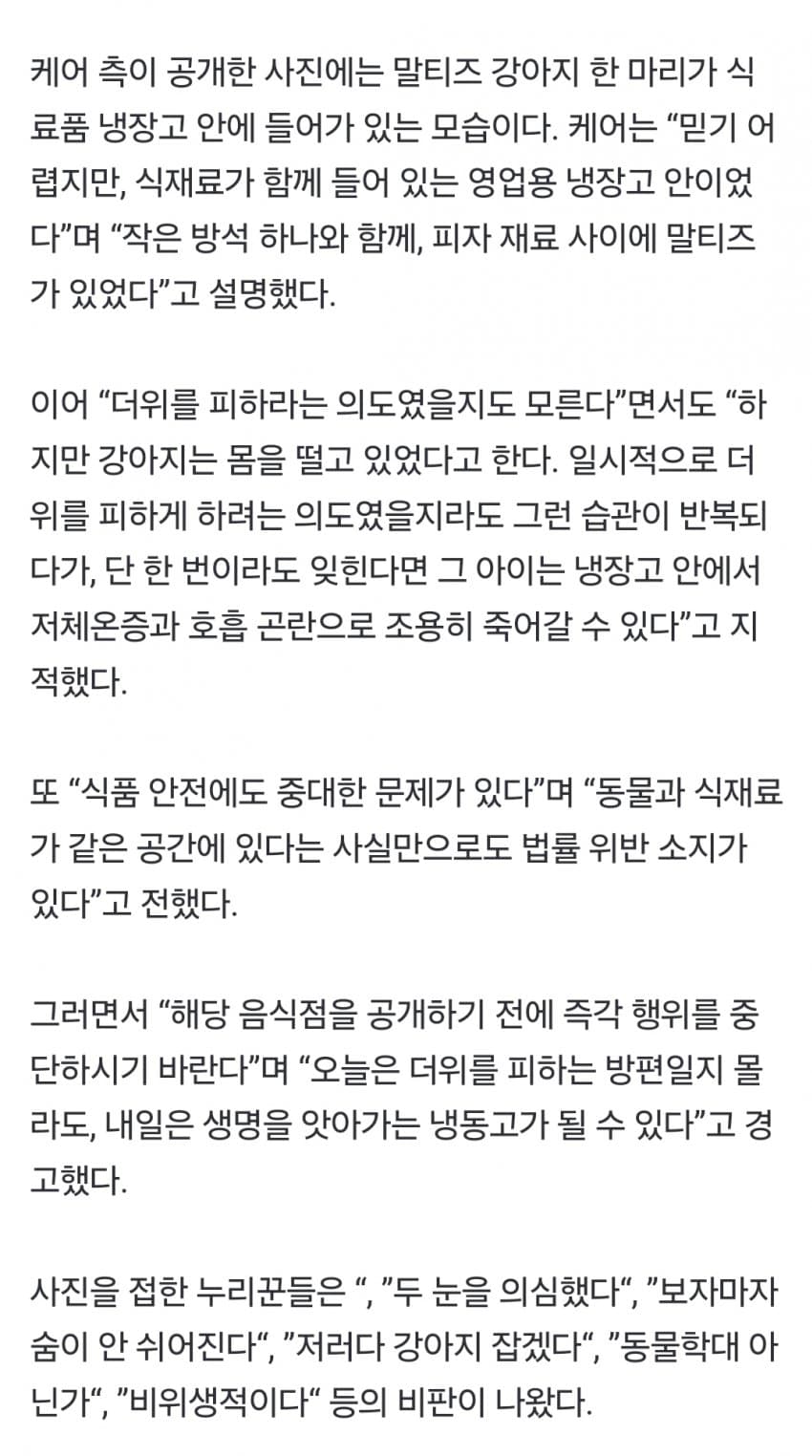 DC Inside 이미지 7